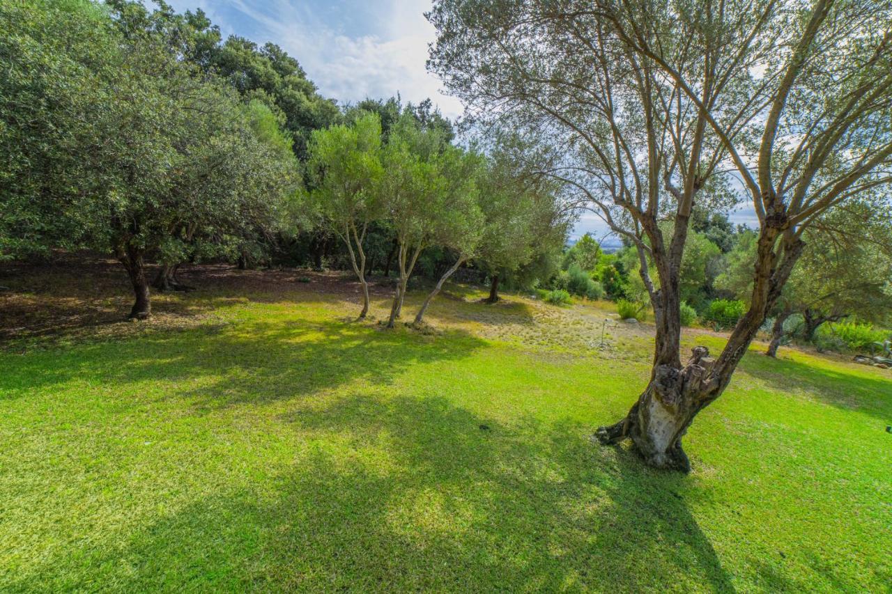 Hidden Retreat / Denga Villa Pollenca